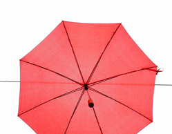 What Exactly is a PAYE Umbrella Company?