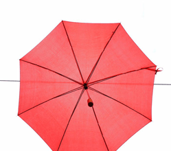 What Exactly is a PAYE Umbrella Company?