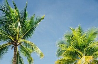 Tax havens win reprieve over transparency