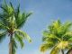 Tax havens win reprieve over transparency