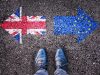 Study: One third of SME owners believe UK will seek to rejoin EU