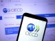 OECD paints bleak picture of UK’s economic recovery