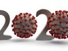 2020: The year in contracting