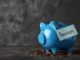 Nest Insight trials self-employed retirement scheme